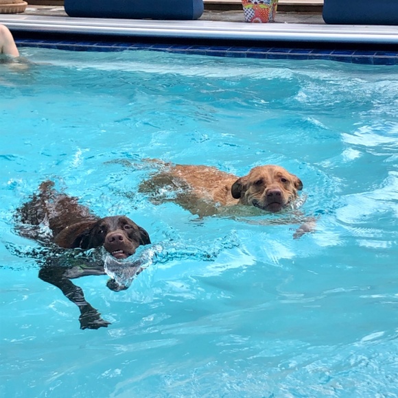 Meet your Posher, “G” - Picture 4 of 5